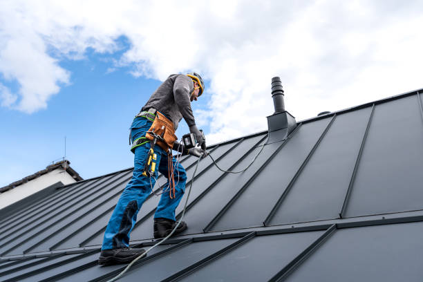 Best Sheet Metal Roofing  in Jackson, OH